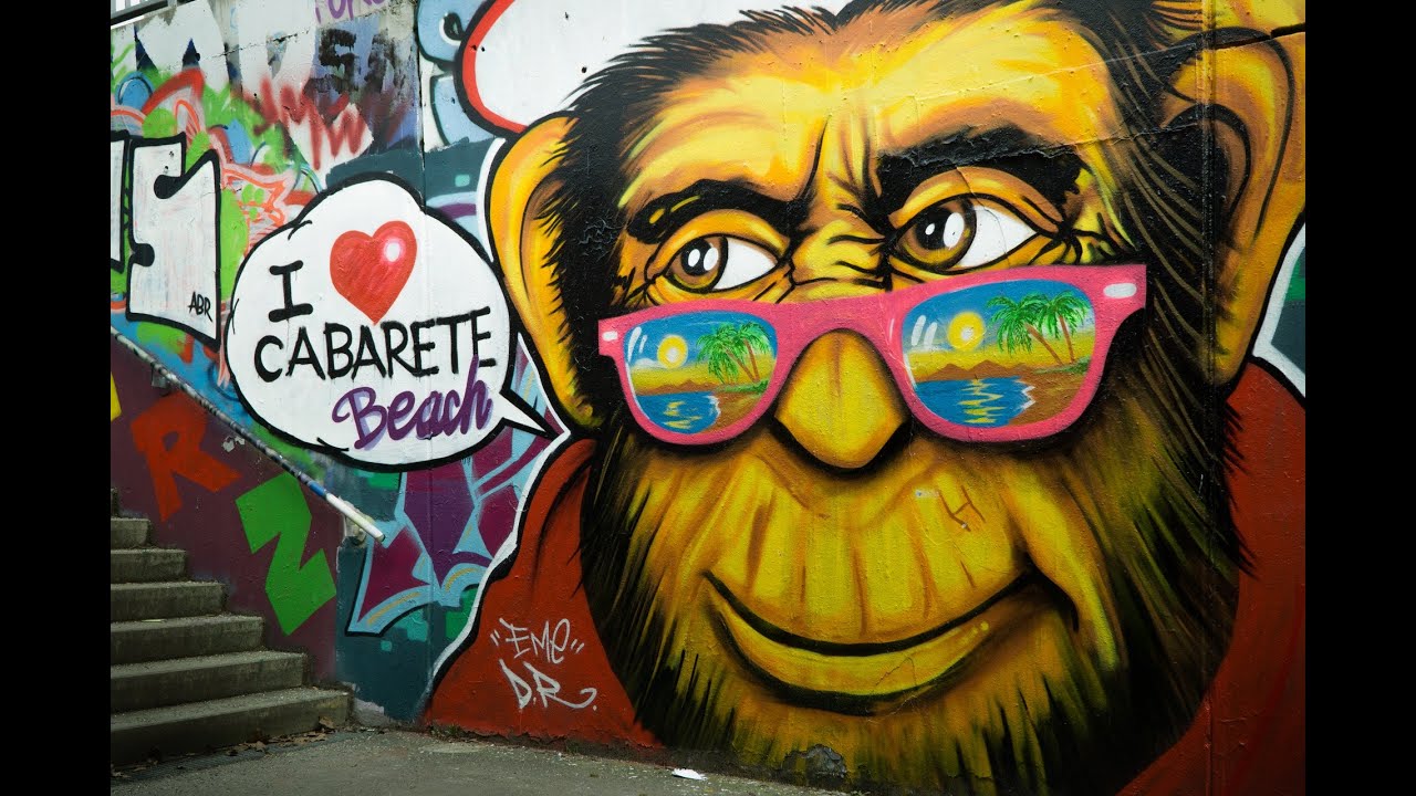 Peter Burgwinkel - Monkey business