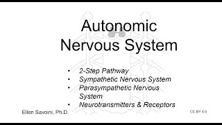 Autonomic Nervous System (BIO 201 Human Anatomy & Physiology I)