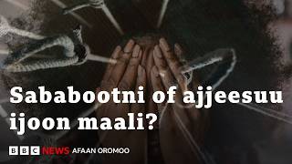 Namni of ajjeesuu yaadu mallattoolee akkamii agarsiisuu danda'a? | BBC News Afaan Oromoo