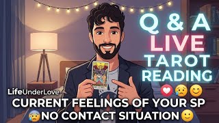 Live tarot reading q and a, yes or no answer