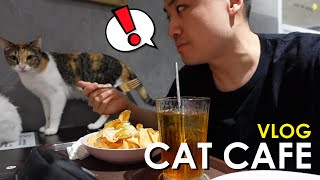 APAKAH KUCING COCOK SAMA GW !! - Cat Café VLOG