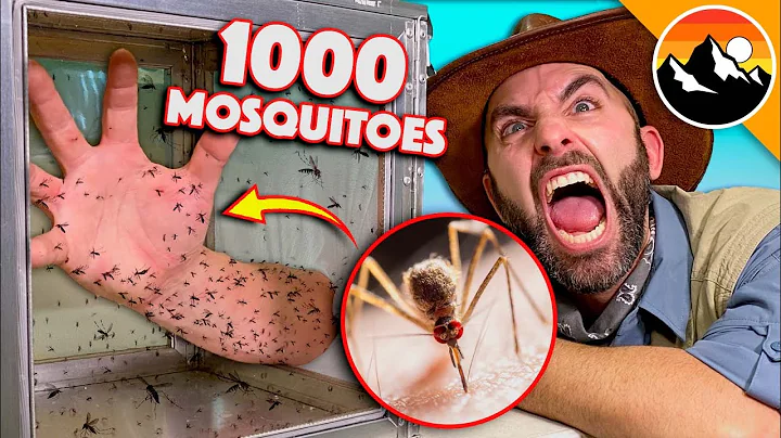 Bitten by 1000 Deadly Mosquitoes! - DayDayNews