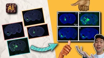 making scientific figures with adobe illustrator *FOR SCIENTISTS ONLY NO ONE ELSE!!!*