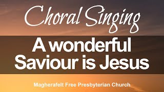 A Wonderful Saviour is Jesus