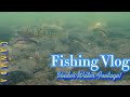 Fishing vlog  the underwater footage fishing nature