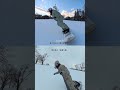 360度カメラがスノボ撮影に最適な理由
