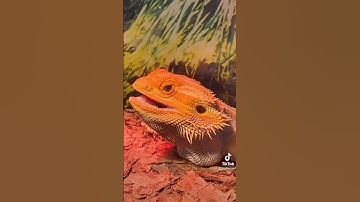 That’s Not my Name🙄 (Part 1)