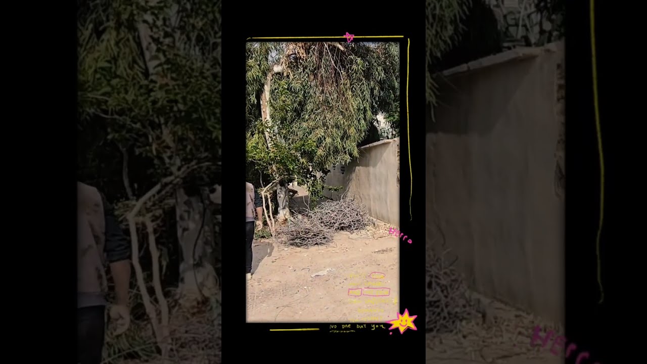 Crash! Boom! Dig! The Satisfying World of Destruction & Excavation