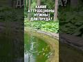 Аттракционы для пруда #пруд #доммечты #загородныйдом #загороднаяжизнь