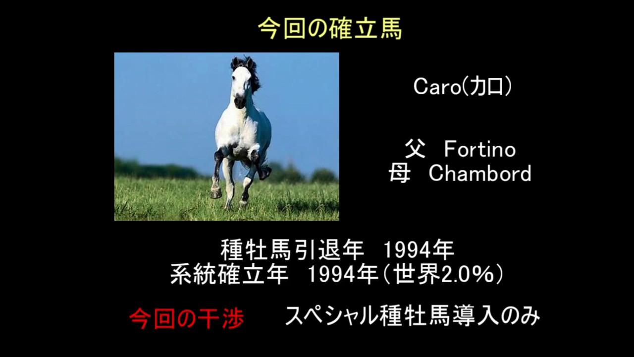 ゆっくり解説 ウイニングポスト9 系統確立 リヴァーマン カロ系 Youtube ゆっくり解説 ウイニングポスト9 系統確立 リヴァーマン カロ系 Youtube
