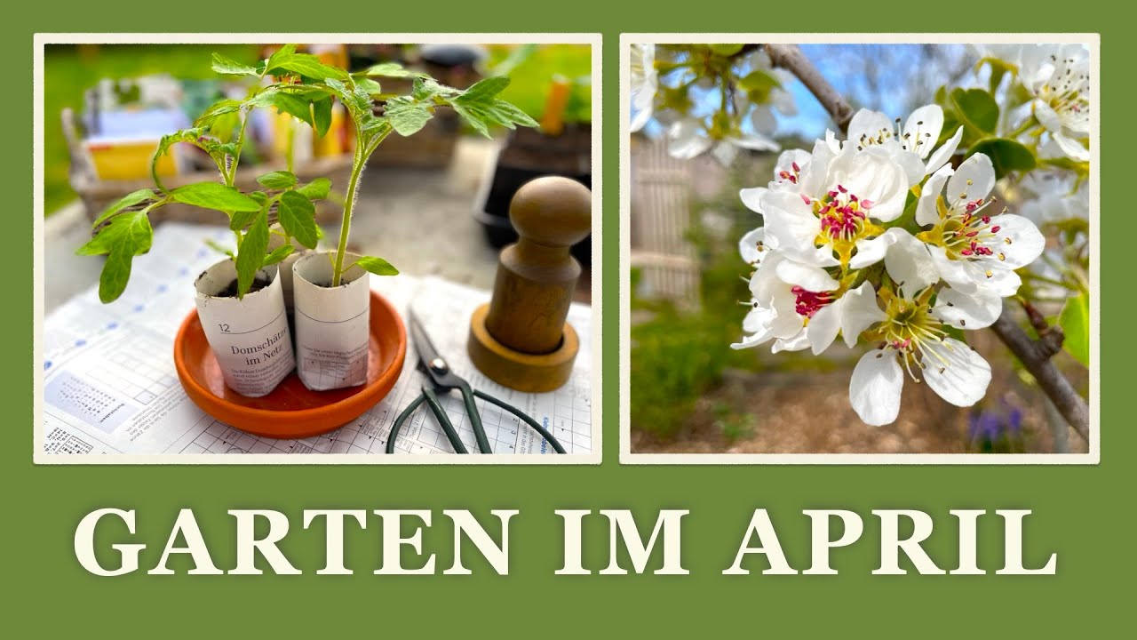 34 Der Garten im April🥦🥕 Arbeiten im Garten 🌱🌼🍅 YouTube