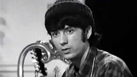 Mike Nesmith Wildfower