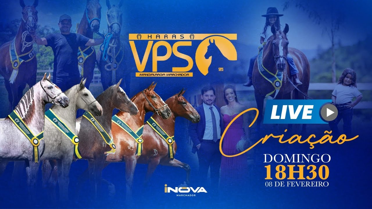 Live de Criação  - Haras VPS - INOVA Marchador