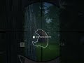theHunter Call of the Wild shoot two bears