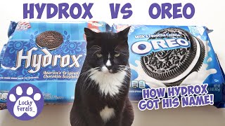 How Hydrox Got His Name - Hydrox Cookie Taste Test, Review, and Oreo Comparison
