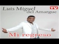 Luis Miguel Del Amargue  - Cuando Un Hombre Se Enamora