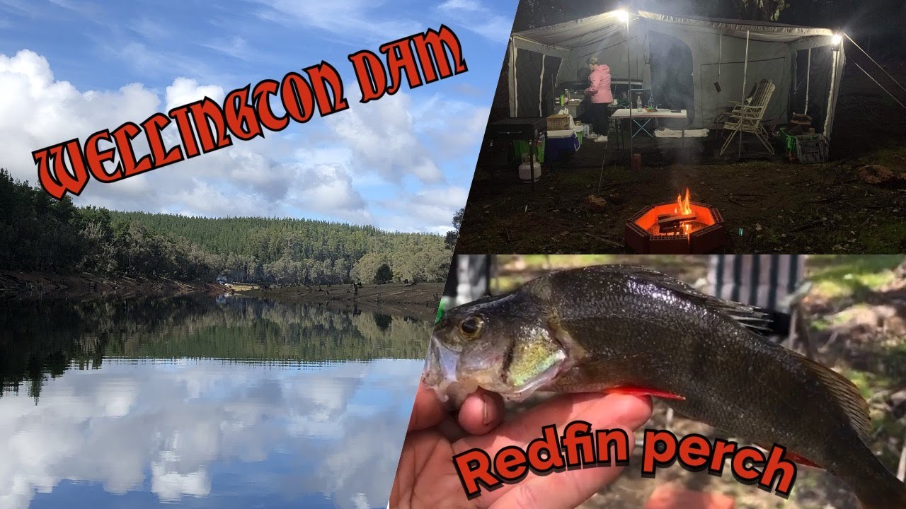 Camping & Fishing Wellington Dam YouTube
