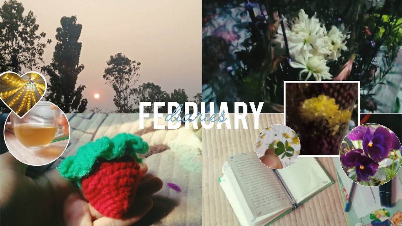 Feburary diaries 🦢🍃