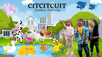 Syabbas Aliansyah - Citcitcuit (Official Music Video) #laguanakterpopuler #laguanakindonesia