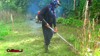 Potong Rumput Lahan Jagung  Santai Dengan Hasil Memuaskan