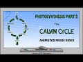 Photosynthesis  | Calvin Cycle  | Animated Music Video |