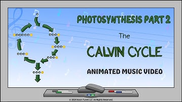 Photosynthesis Part 2: The Calvin Cycle  | Animated Music Video |