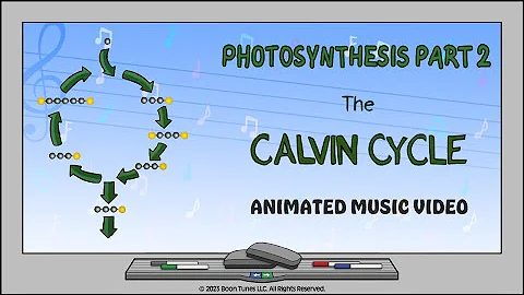 Photosynthesis  | Calvin Cycle  | Animated Music V...