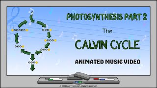 Photosynthesis: The Calvin Cycle | ANIMATED MUSIC VIDEO |