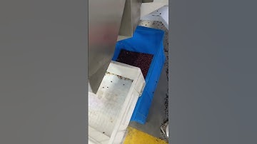 Red beans color sorter machine- single chute machine