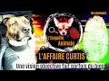 Lenqute animale  laffaire curtis  une vision objective loin des complots