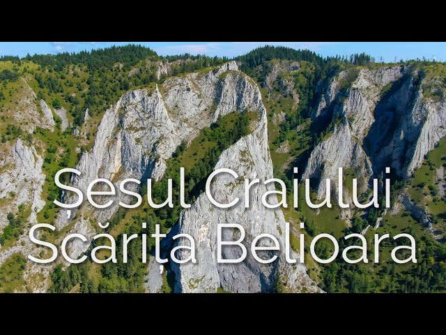 Muntele Mare pe doua roti, Muntele Baisorii, Sesul Craiului Scarita Belioara, Cosul Boului, Apuseni