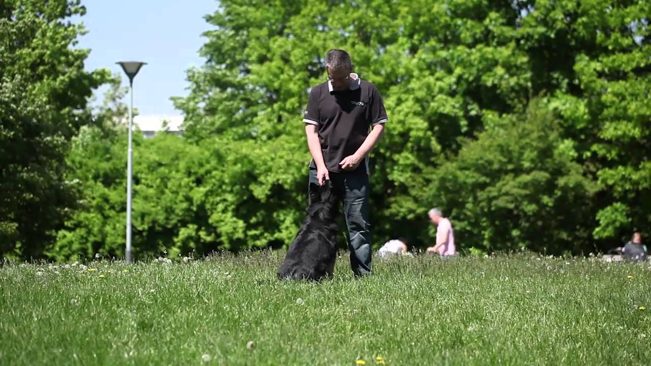 Training Tips CZ - Část 2 - K Noze