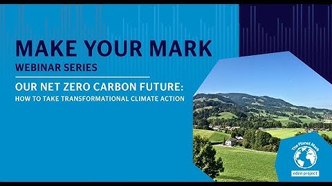 Net Zero Carbon Future | Make Your Mark Webinar | July 2020