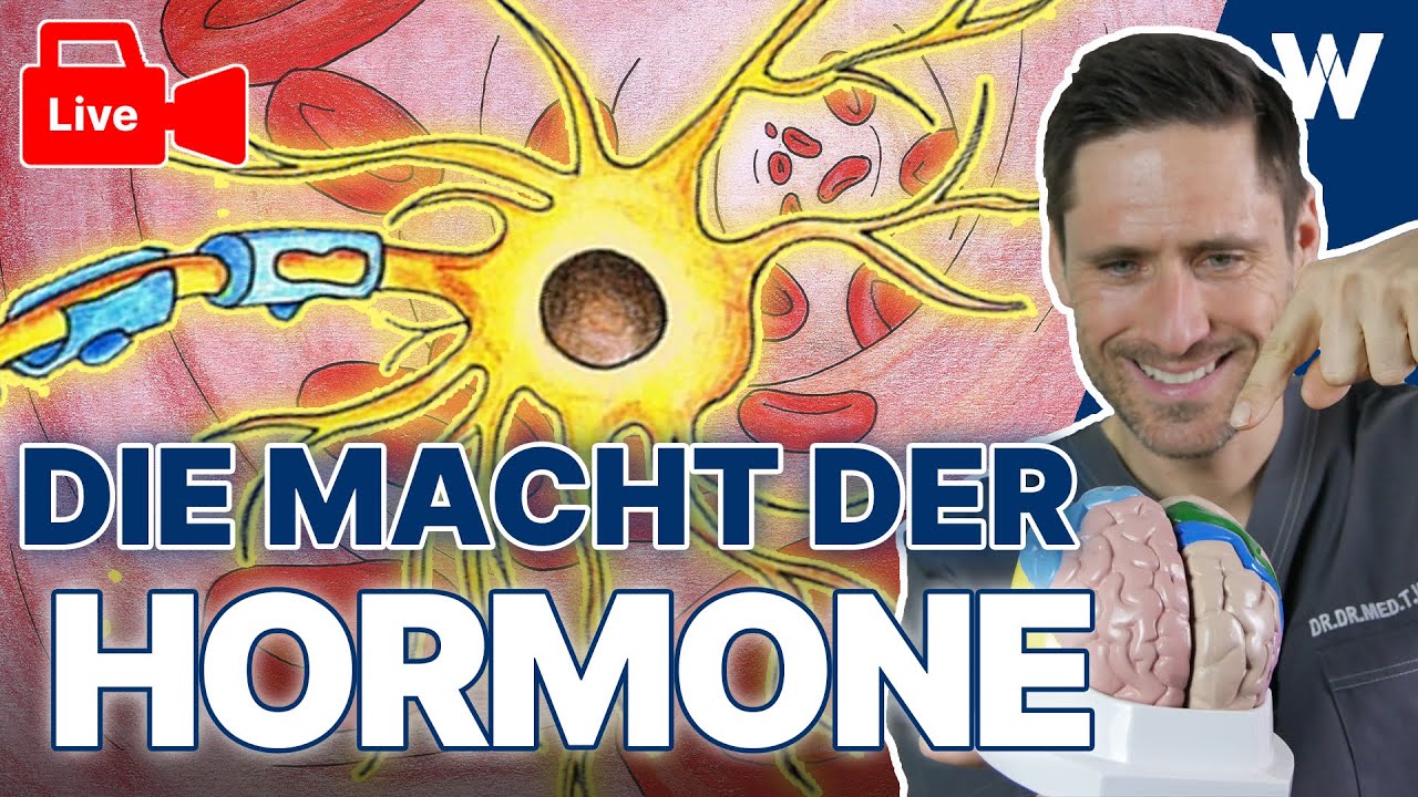 Hormonersatztherapie Basics l Vorteile, Nachteile und Risiken