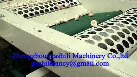 Garlic sorting machine, Garlic separating machine, garlic size choosing machine