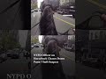 NYPD Officer on Horseback Chases Down Purse Theft Suspect | N18G