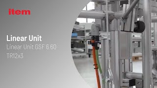 Linear unit GSF 6 60 TR12x3   weightlifter for continuous operation