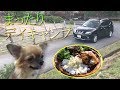 愛犬とまったりデイキャンプ【初心者キャンプ】
