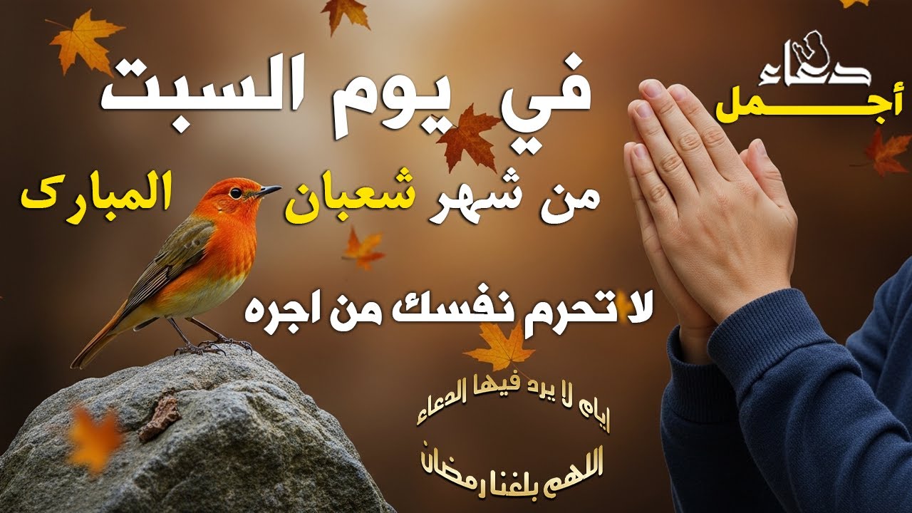 دعاء فى يوم السبت المستجاب دعاء يوم 19 من شهر شعبان للرزق والشفاء العاجل وقضاء الحوائج 🤲(4k)