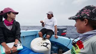 Belize Fund Grant Project: Enhancing Sustainable Fisheries Management for Sharks and Finfish...