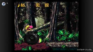 【スーパードンキーコング2】BGM ジャングルステージ 【100分耐久】
