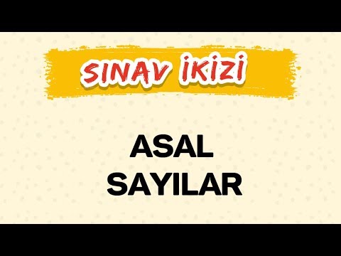 ASAL SAYILAR - Yeni Nesil Sorular - Şenol Hoca