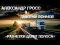 Александр Гросс и Дмитрий Ефимов-Разметки делит полоса