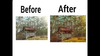 How to Edit Nature Effect on Snapseed Tutorial 2017 screenshot 5