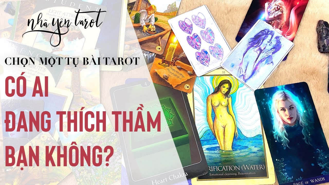 Bói Bài Tarot - Người Ấy Nghĩ Gì Về Bạn