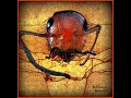 La parabole de la fourmi pome de michel bellin