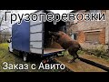 Заказ на перевозки с Авито. Первый раз везу живую корову.