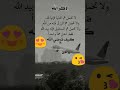 لاتحمل هم الدنيا فإنها لله