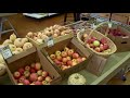 Feast TV: Farm to Table