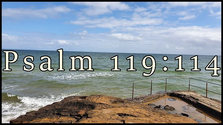 Verse of the Day | Psalm 119:114
